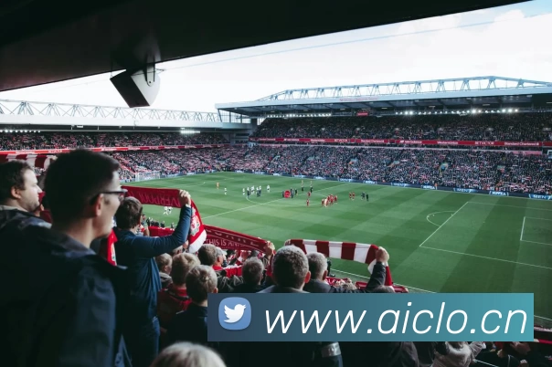 滚球官网app平台生态图